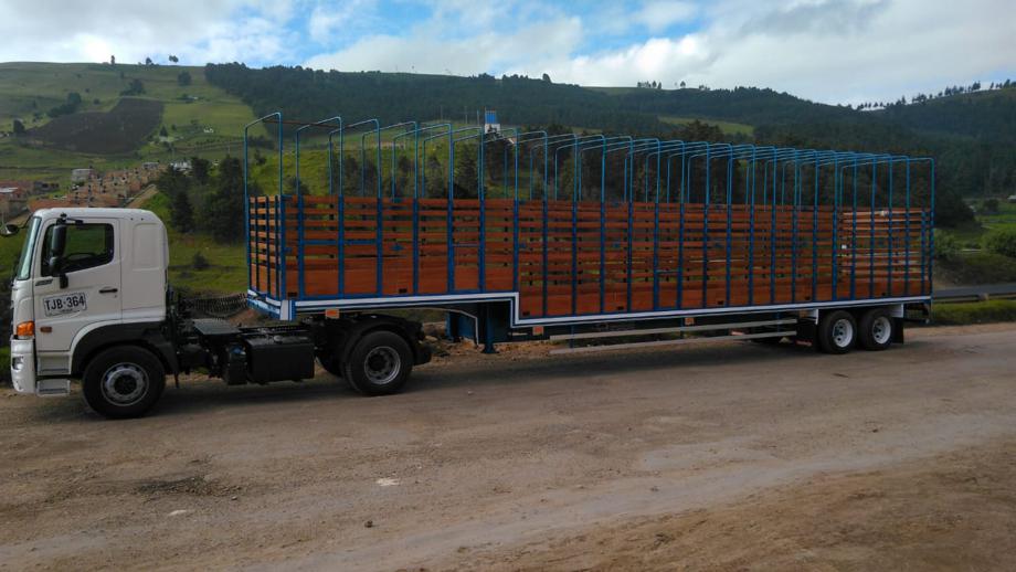 Transporte en Patineta de 2 ejes  en Aragua, Venezuela
